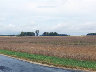Property photo 9 - FARMLAND AUCTION - 76.15+/- ACRES IN 2 TRACTS IN RANDOLPH COUNTY, INDIANA